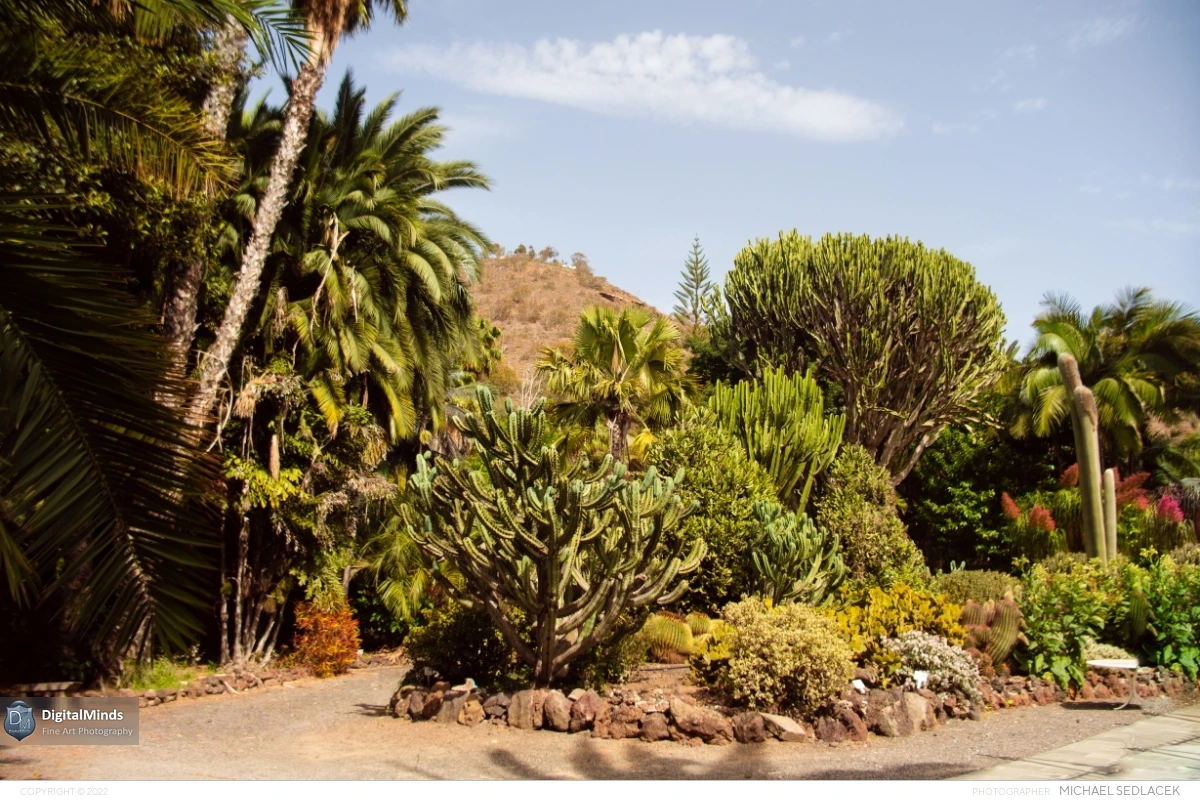 Gran Canaria Day 3 068