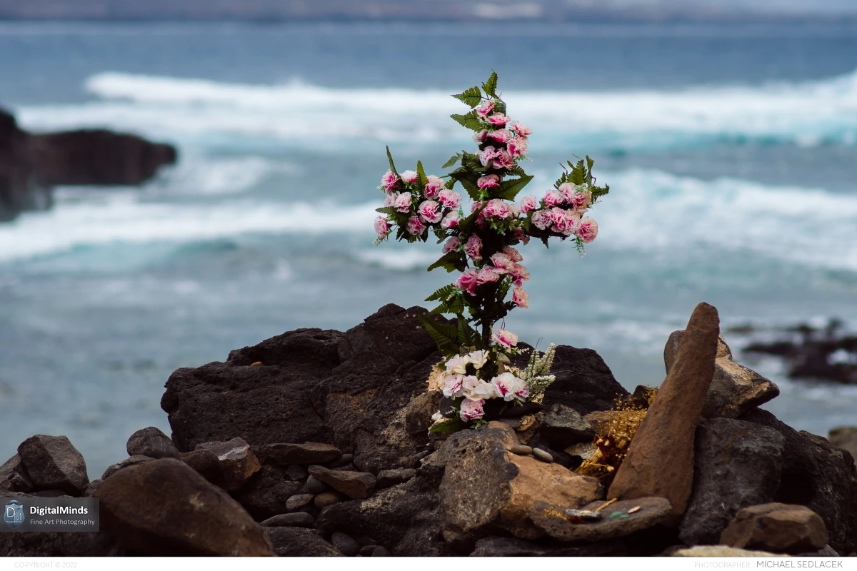 Gran Canaria Day 4 027