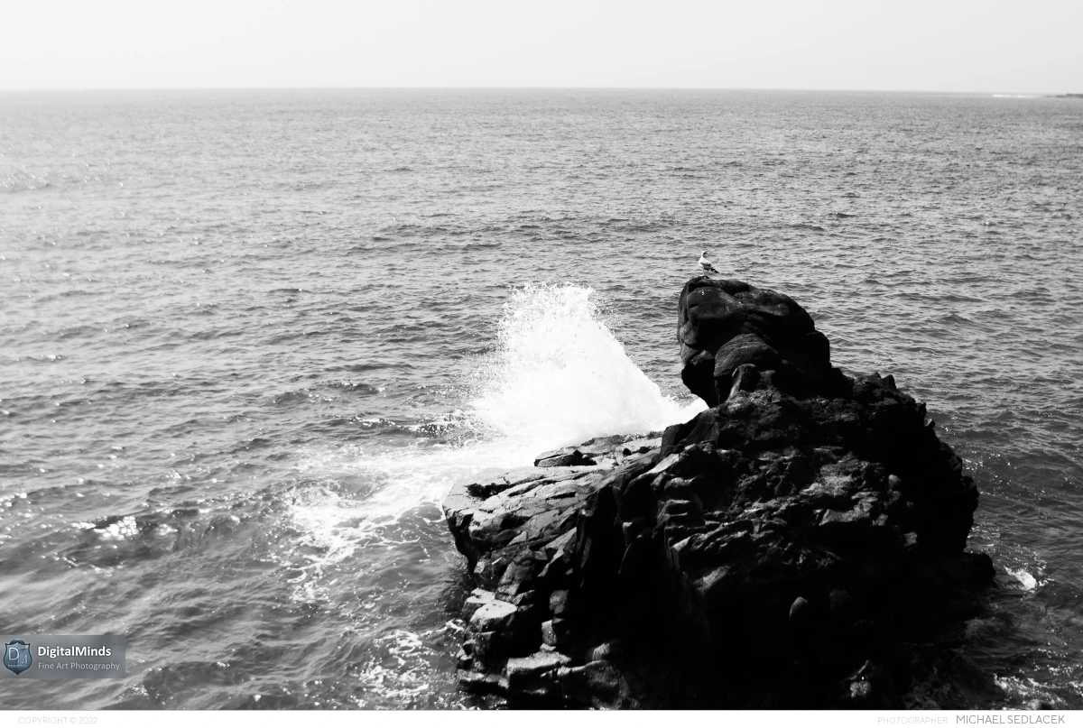 Gran Canaria Day 4 035