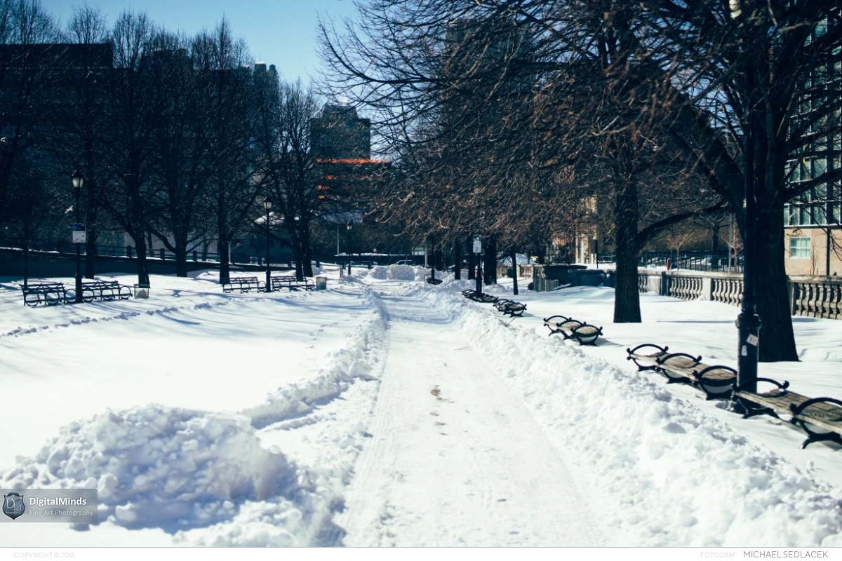 After The Storm in New York City 2016 02510