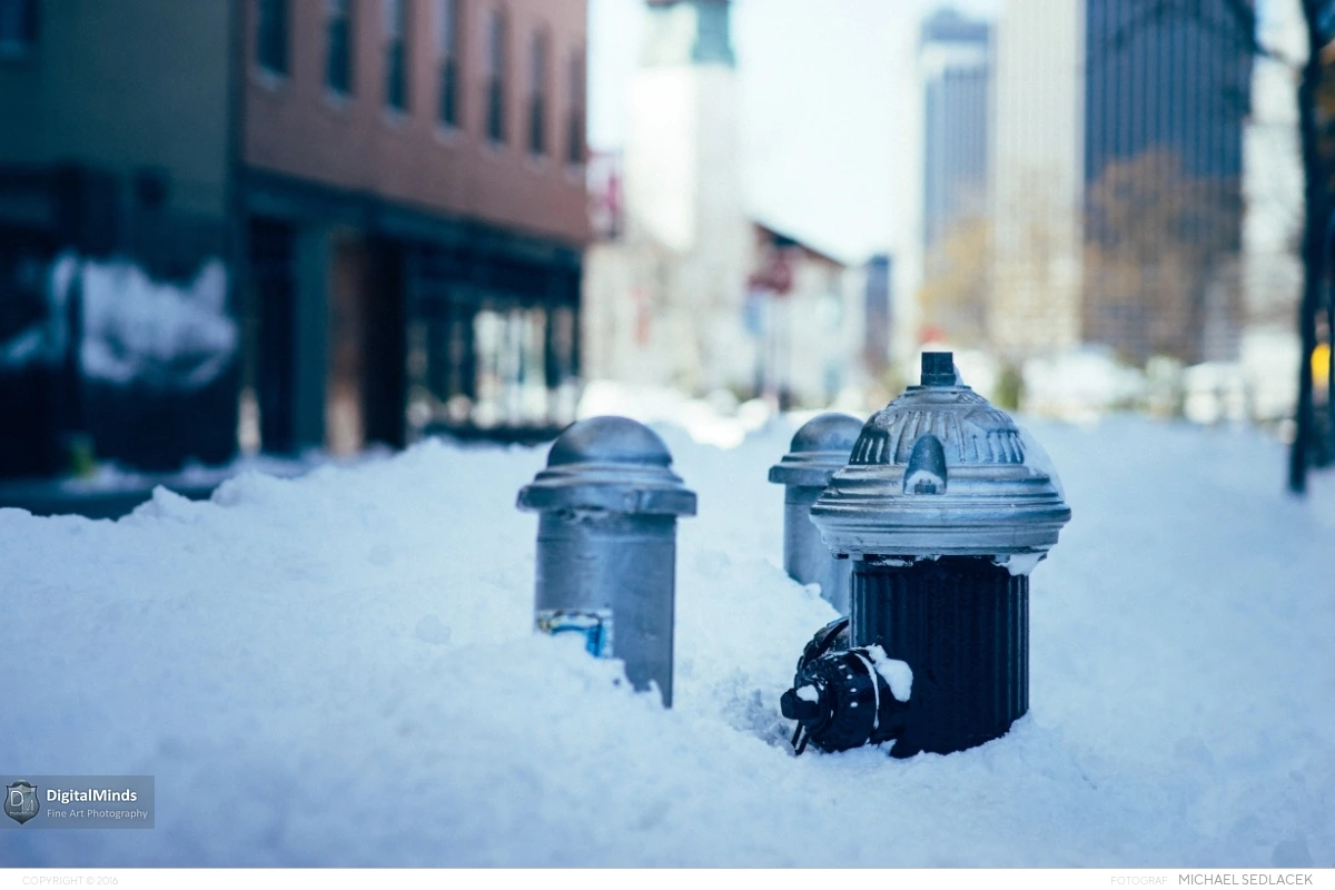 After The Storm in New York City 2016 02753