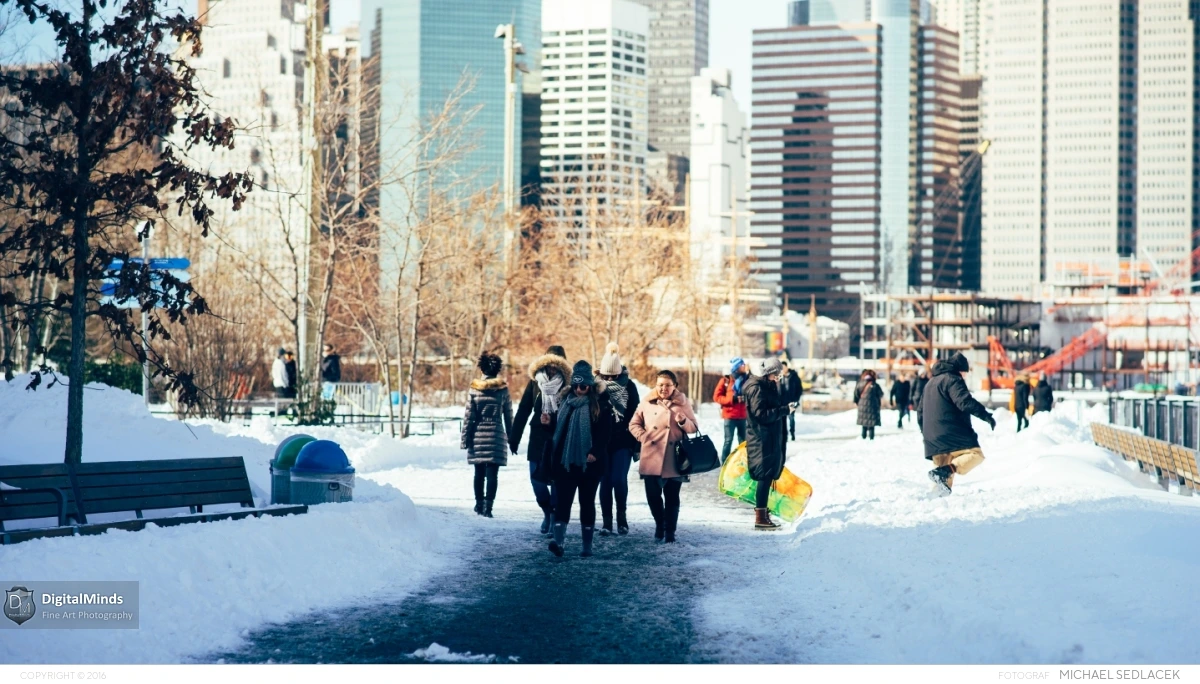 After The Storm in New York City 2016 02757