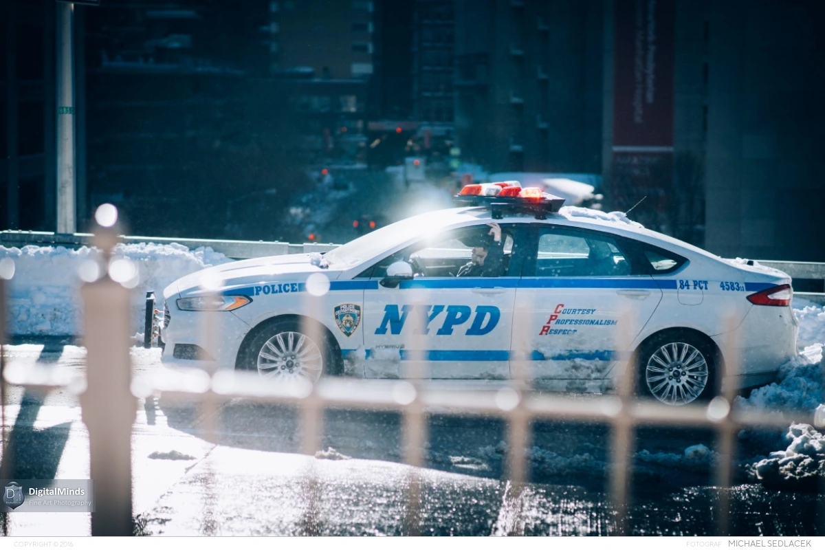 After The Storm in New York City 2016 02819