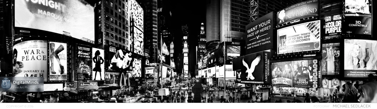 Winter in New York City 2016 02407