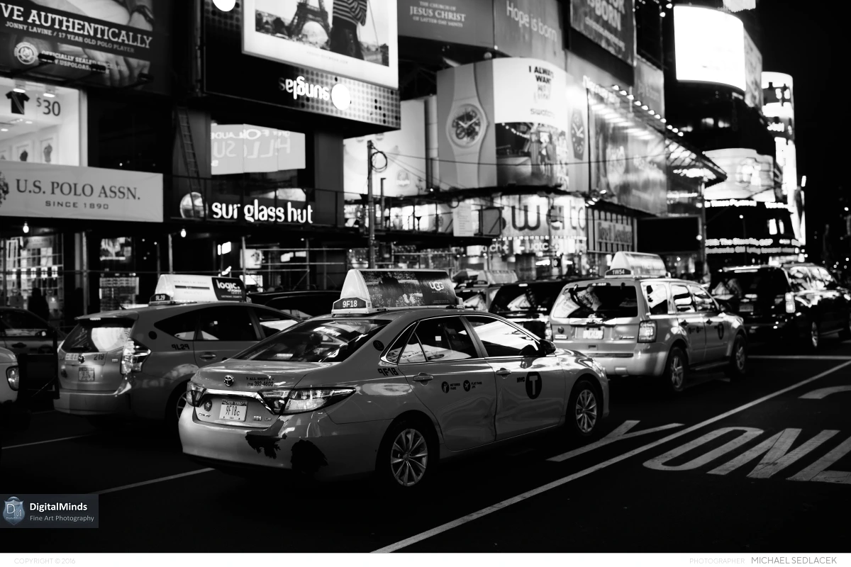Winter in New York City 2016 02464