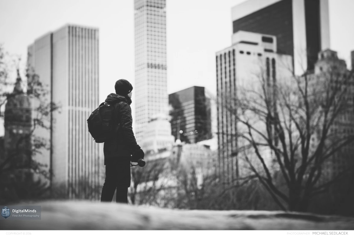 Winter in New York City 2016 02191