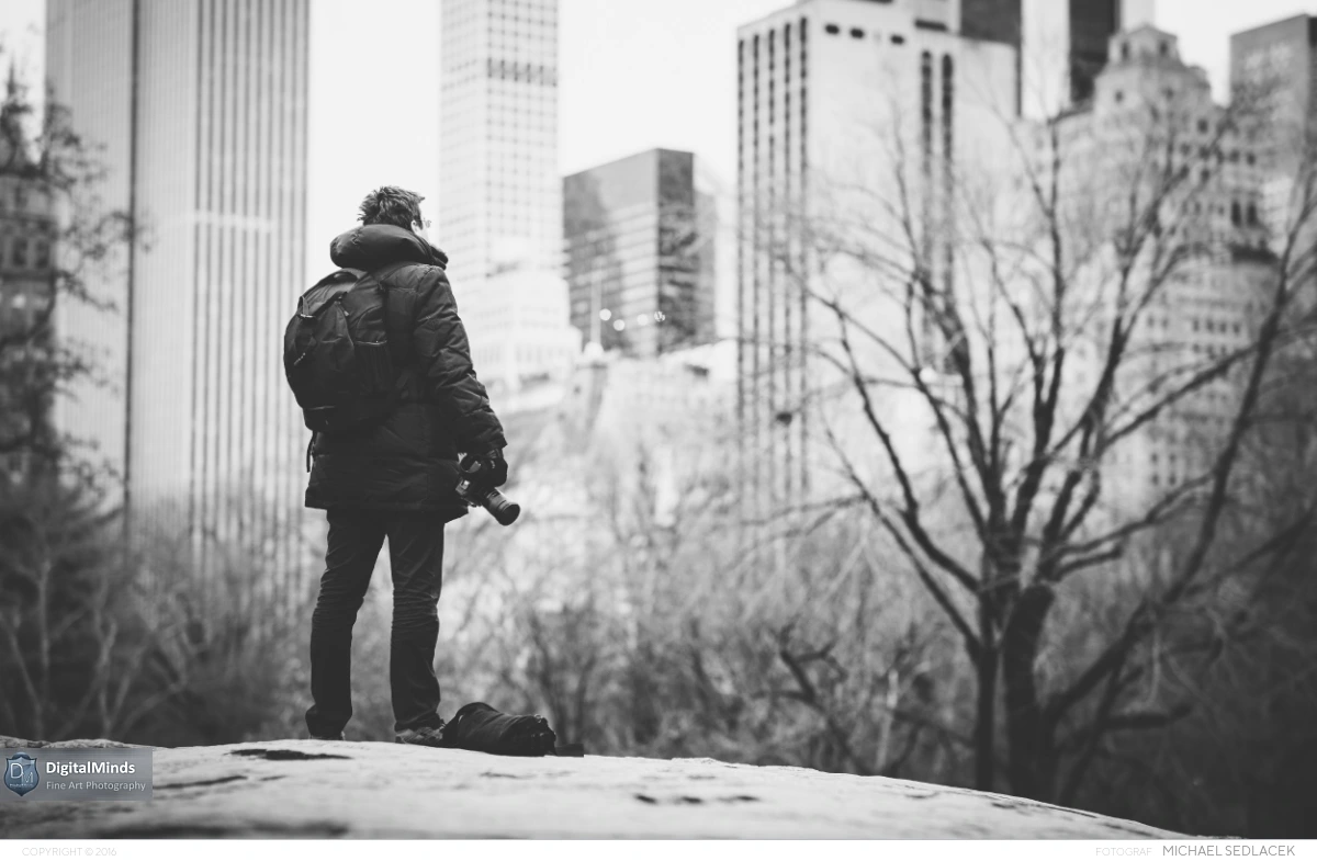 Winter in New York City 2016 02197