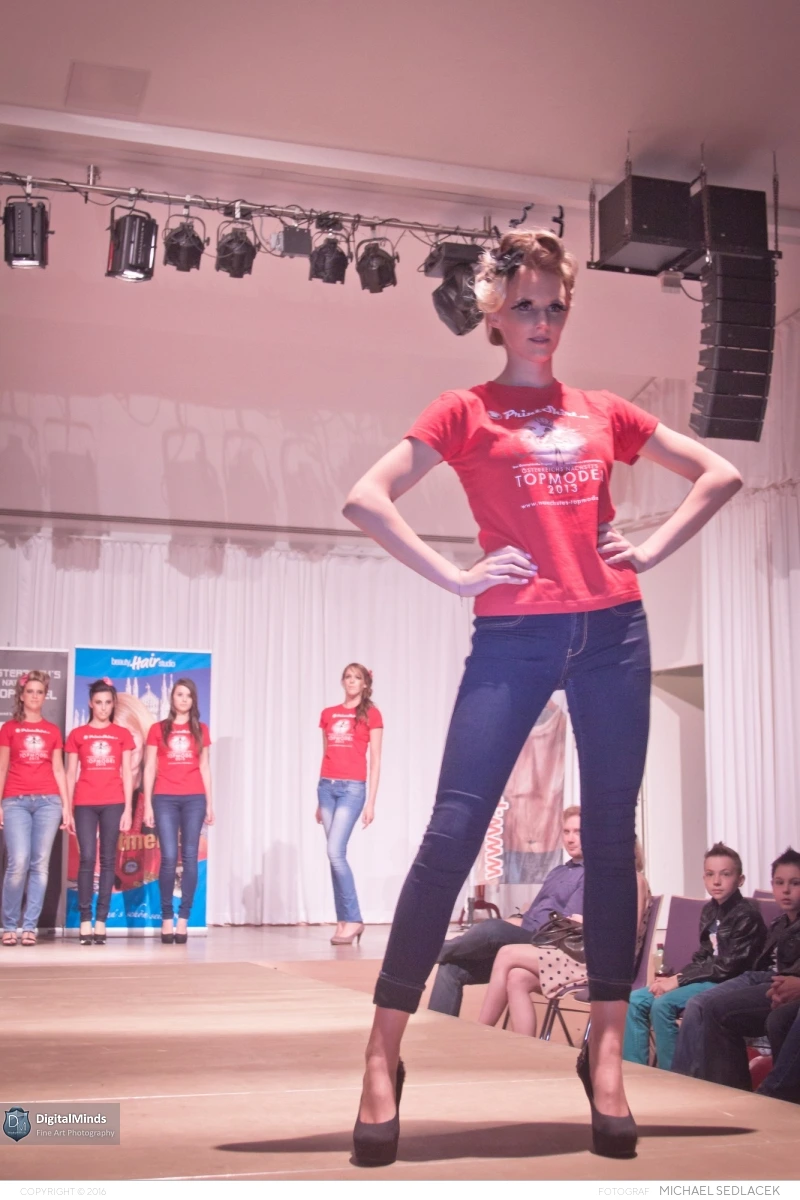 Burgenlands NÃ¤chstes Topmodel 2013 9530