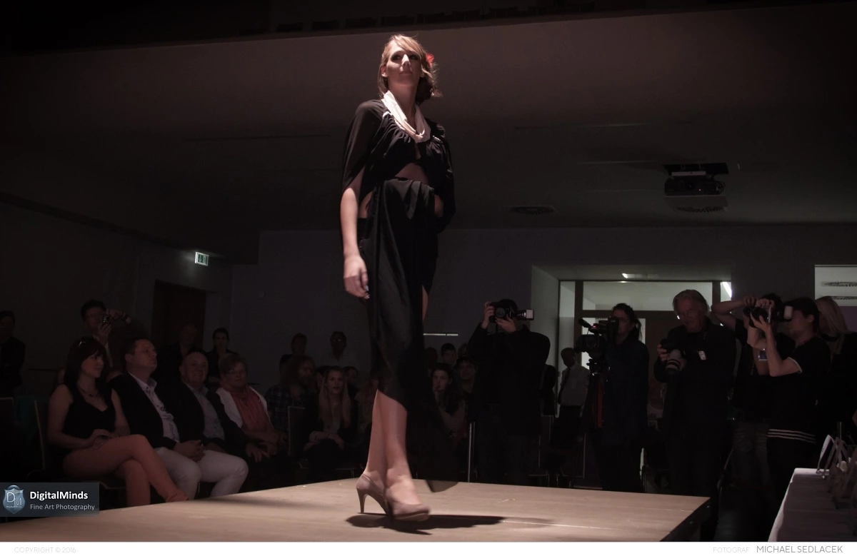 Burgenlands NÃ¤chstes Topmodel 2013 9741