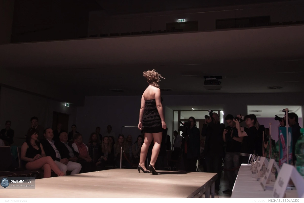 Burgenlands NÃ¤chstes Topmodel 2013 9750