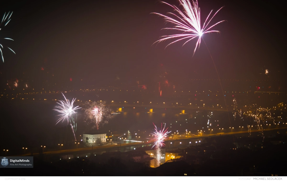 Silvester 7529
