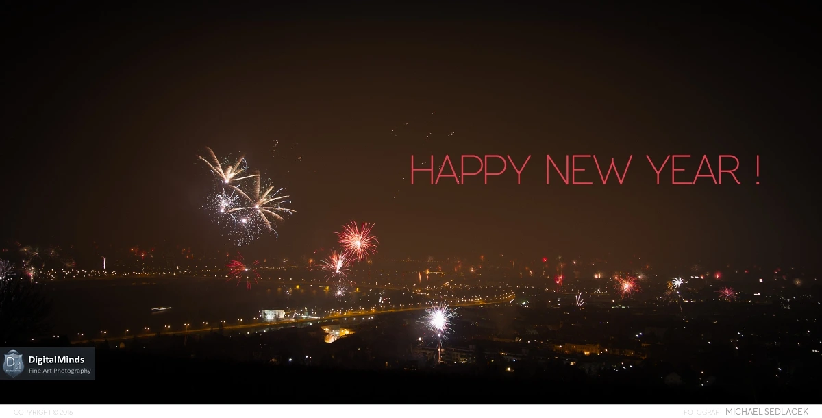 Silvester 1015079