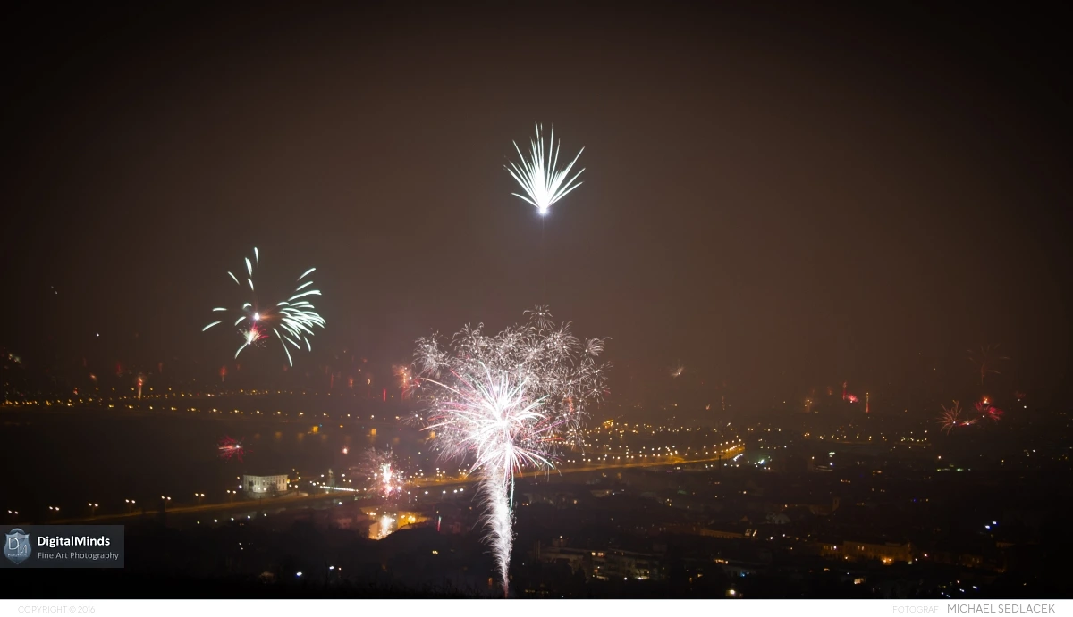 Silvester 1015082