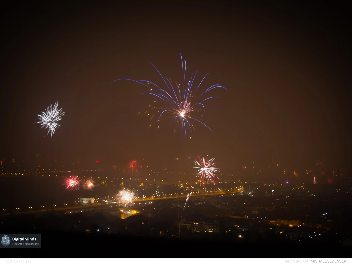 Silvester 1015084