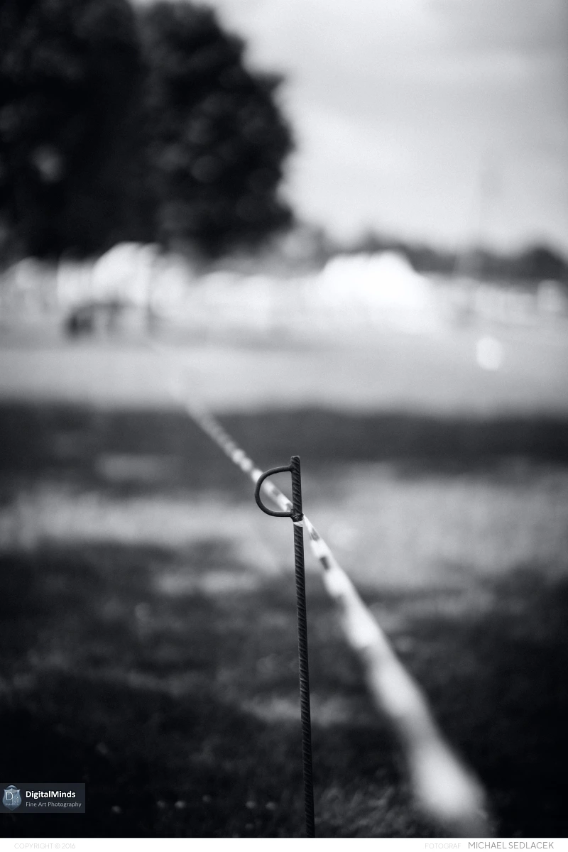 Vienna X Cross Run 2014 04841
