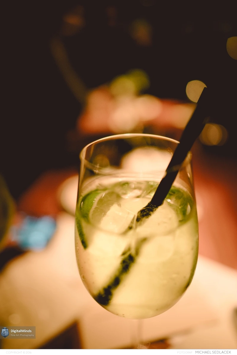 A Delightful Evening in Vienna 00665