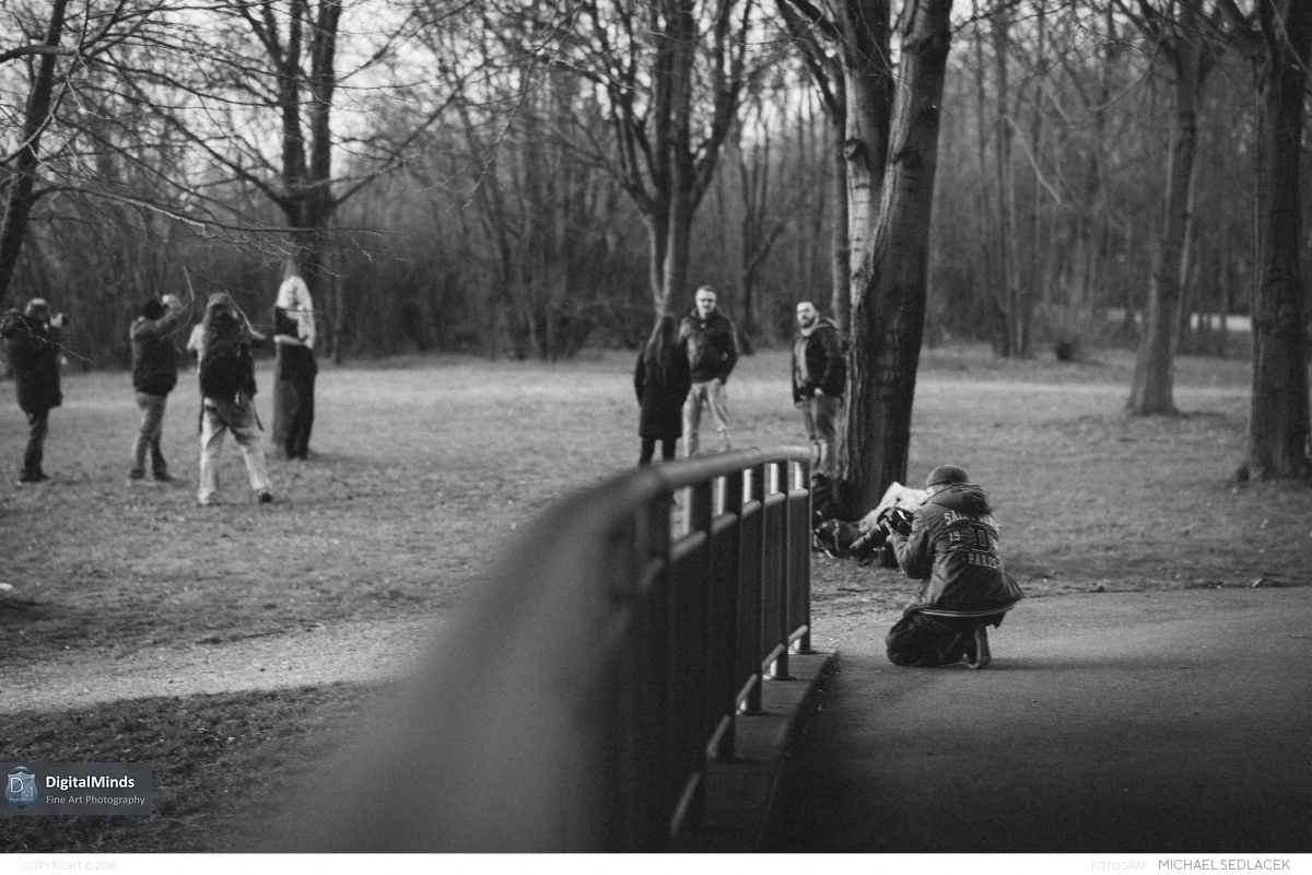 A Delightful Day in Vienna February 04034
