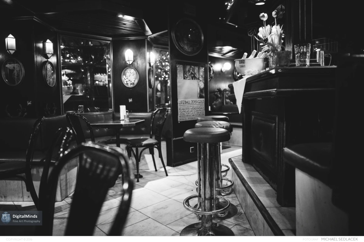 A Delightful Evening in Vienna January 03916