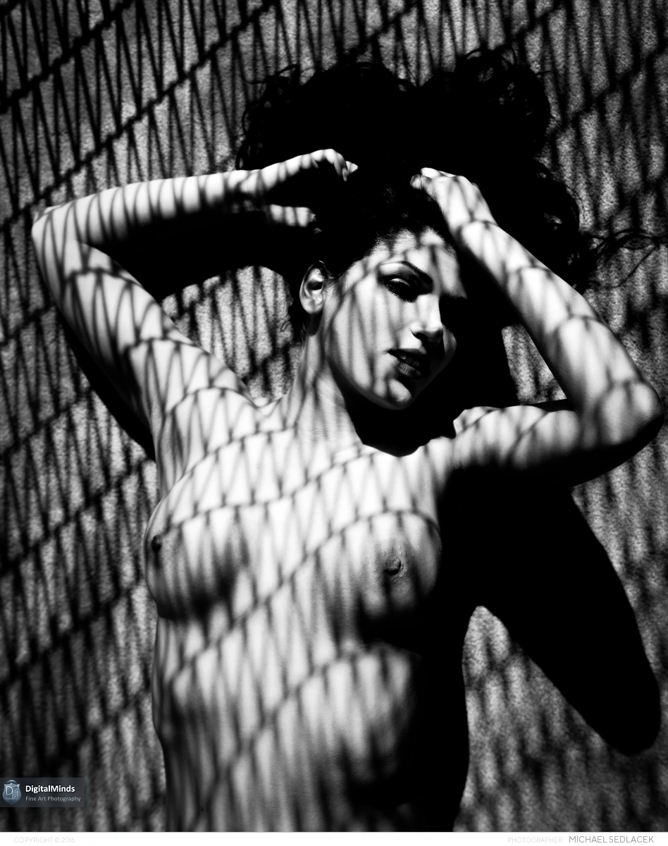 Lights and Shadows with Nicolette 04751