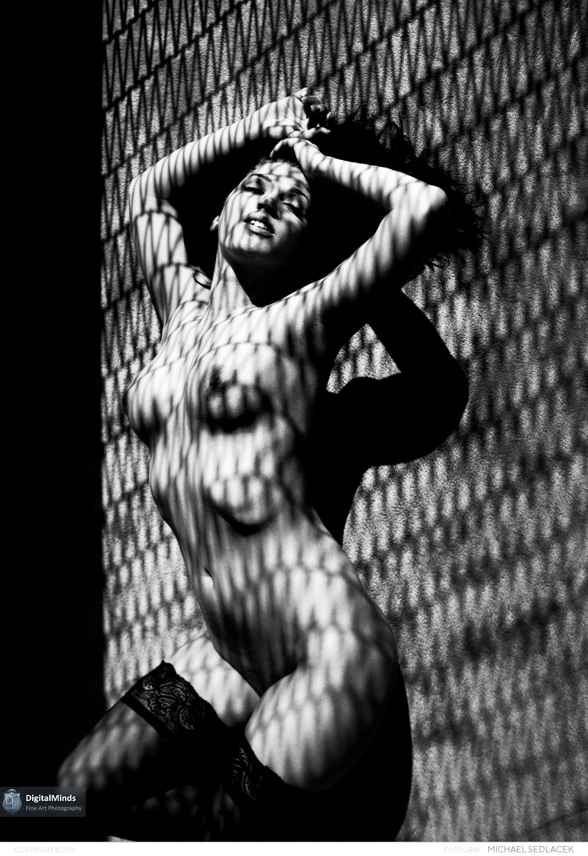 Lights and Shadows with Nicolette 04734