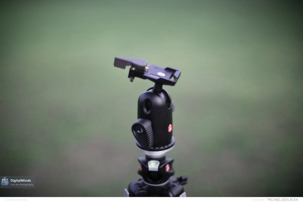 Canon EOS 6D 9851