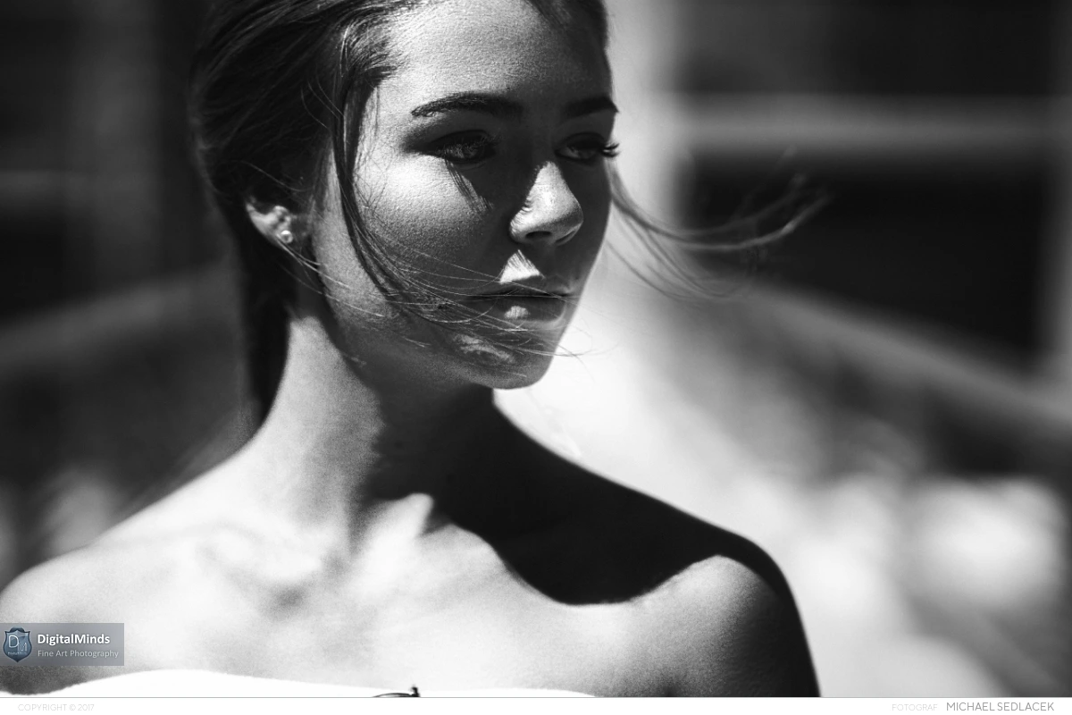 Into the Sunlight with Victoria 04545